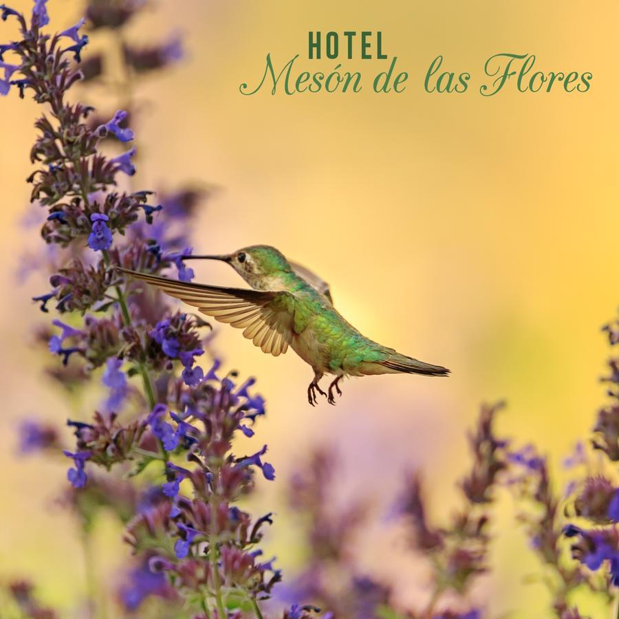Hotel Meson De Las Flores Армения Екстериор снимка
