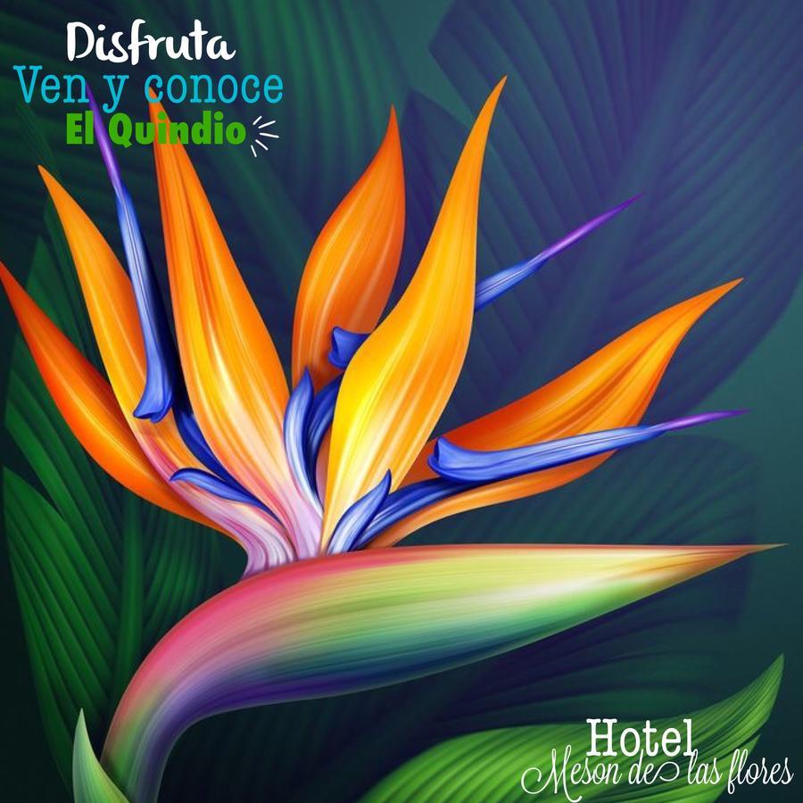 Hotel Meson De Las Flores Армения Екстериор снимка